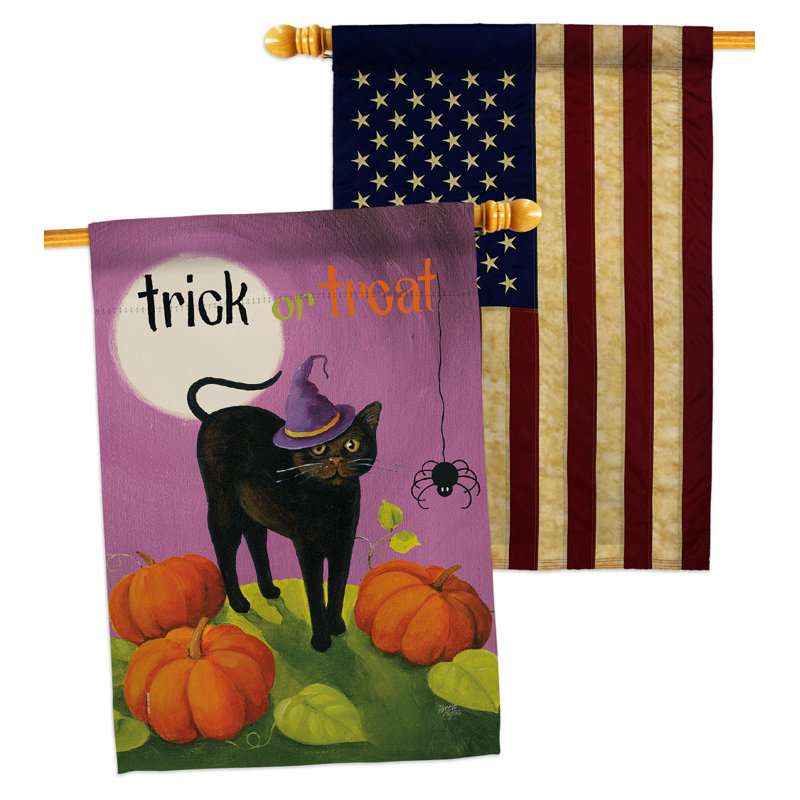 Drapeau d'Halloween chat en polyester 40 x 28 po