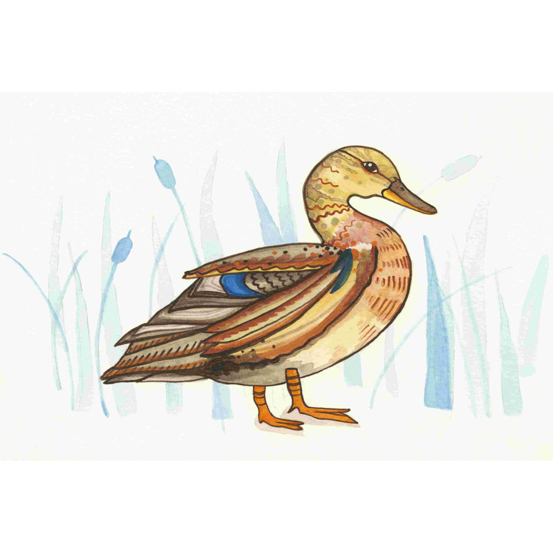 Canard colvert Wetland II, H 20 po x l 30 po