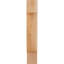 Corbeau alpin-1059789618-1059789616-1059789642