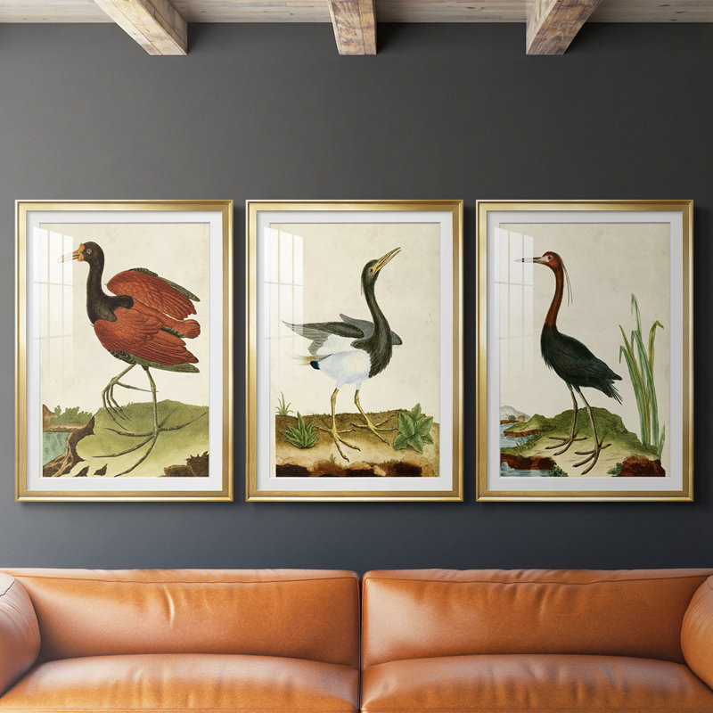 Heron Portrait IV - reproduction encadrée sur mesure de qualité supérieure mate - 3 pièces, H 19 po x l 27 po, Doré
