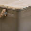 Ajenae Blanket Chest-1027384660