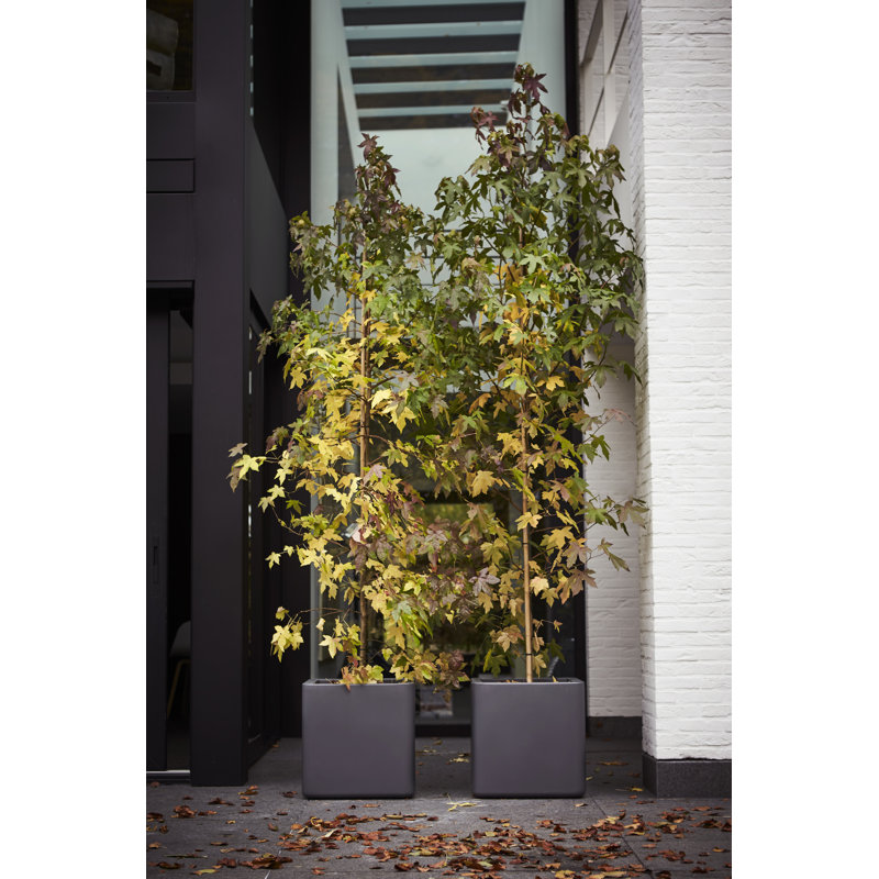 Pot Planter, Anthracite, 49cm H x 49cm W x 49cm D