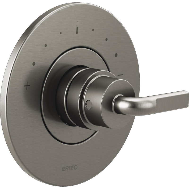 Litze Valve Trim with Handle and Mixing Cartridge, Luxe Steel, Notch Lever