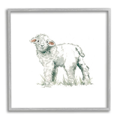 Fluffy Baby Sheep