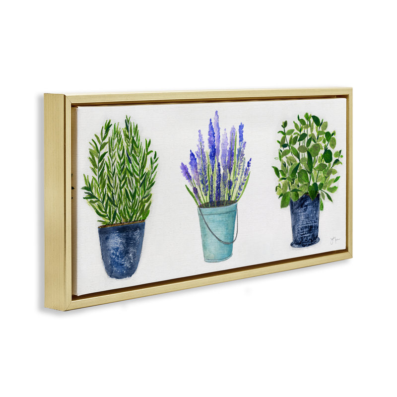 Plantes et herbes variées en pot, H 11 po x l 25 po, Cadre flottant métallique doré