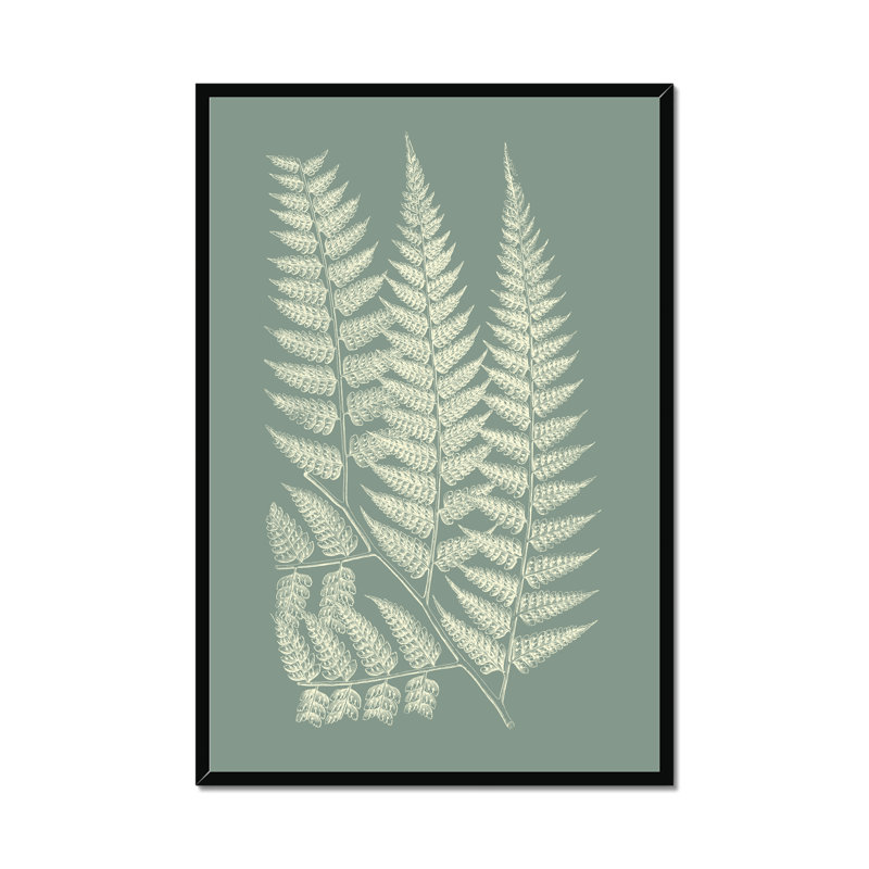 Ferns On Sage III by Vision Studio - Painting on Canvas, 80cm H x 55cm W, Black Framed Paper Print