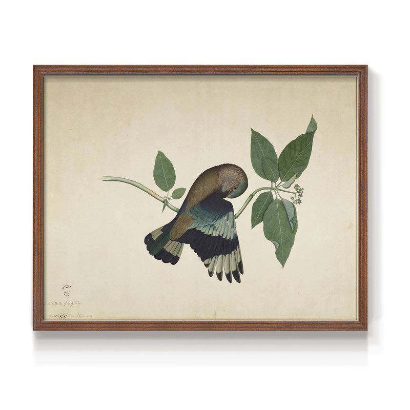 Faune rétro-XV - reproduction encadrée, H 16 po x l 20 po, Noyer