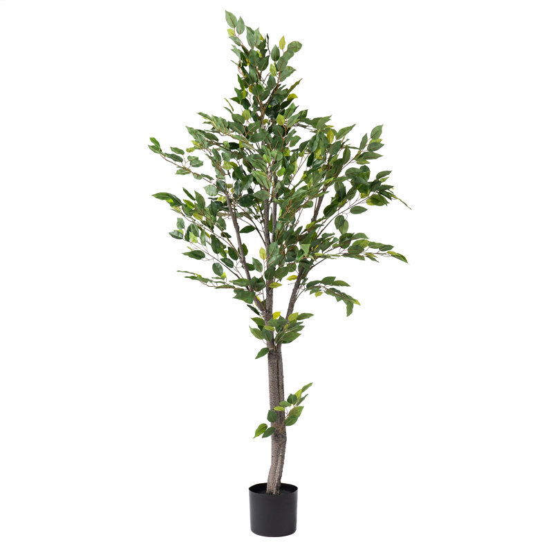 155cm Faux Ficus Tree in Pot