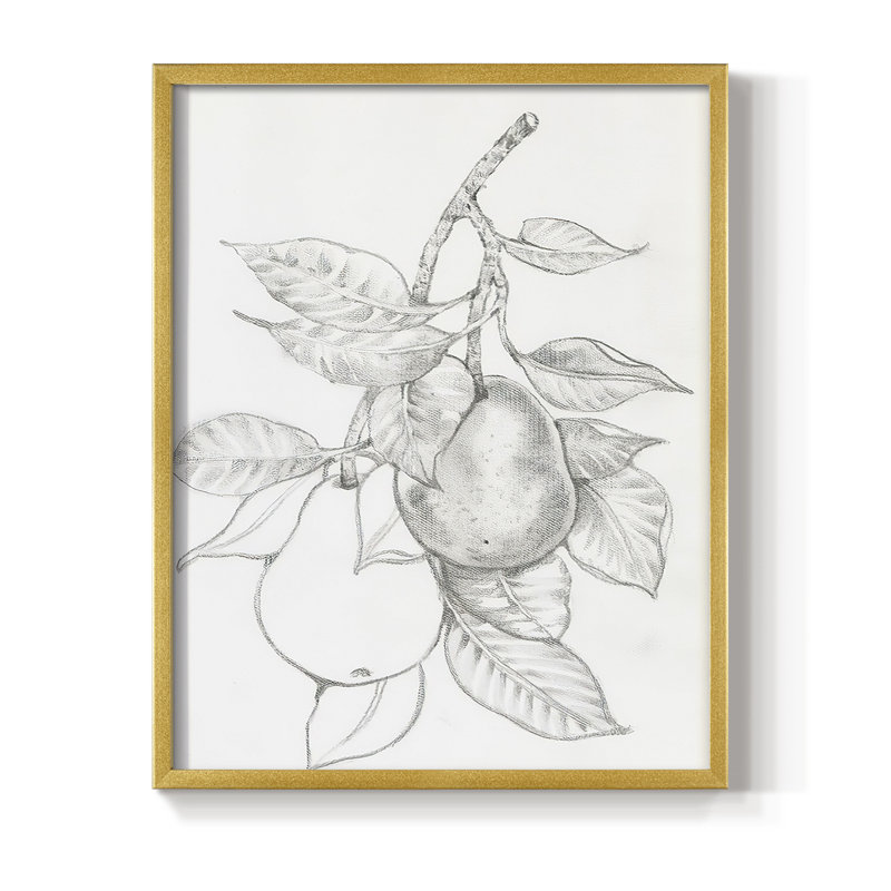 Impression encadrée FruitBearing Branch III - bois massif, H 28 po x l 22 po, Or