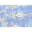 Tapis oriental bleu unique 10X14 One-of-a-Kind