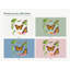 Butterfly Life Cycle Wall Decals, Set of 8 Educational Peel and Stick Wall Stickers, Classroom Playroom Decor, Kids Learning Wall Art, 20"W x 20"H (50 x 50 cm)-381602308
