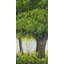 «Forest by Summer - Trees Landscape», reproduction encadrée-1261114915-1261114917