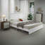 Chantaya Upholstered Storage Bed-266668319-266668315