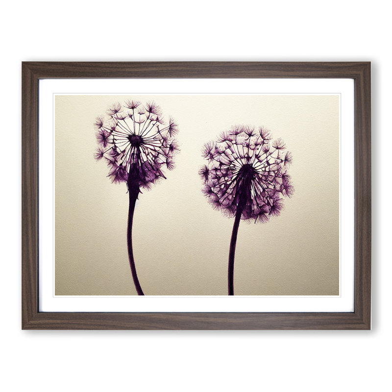 Dandelion Watercolour - Framed Print, 46cm H x 64cm W x 2cm D, Walnut