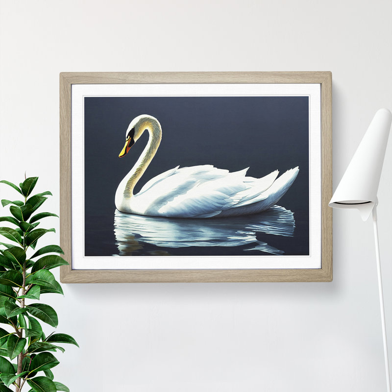 Astounding Swan - Single Picture Frame Print, 25cm H x 34cm W, Grey