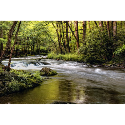 Sunlight On Jakes Creek I - Wrapped Canvas Print