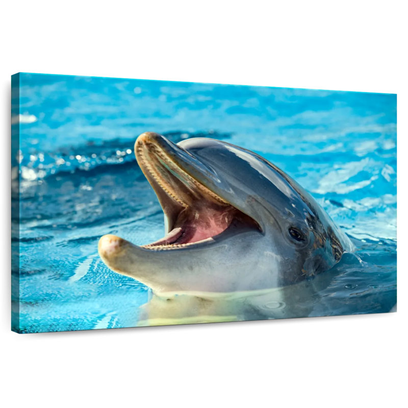 Smiling Playful Dolphin, 20" H x 30" W