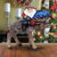 Masterpiece Woodcarved Moose Traveler Santa Figurine