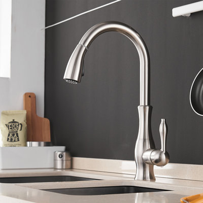 WOTOKOL Pull Out Kitchen Faucet
