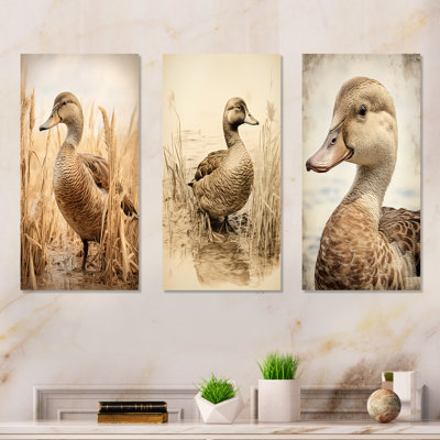 «Brown Duck Elegance I», ensemble de 3 reproductions d'art mural
