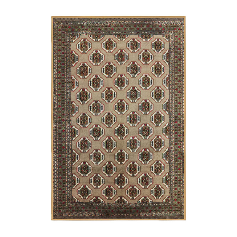 Tapis oriental brun clair / crème Harrellsville, Rectangle 6 pi x 9 pi