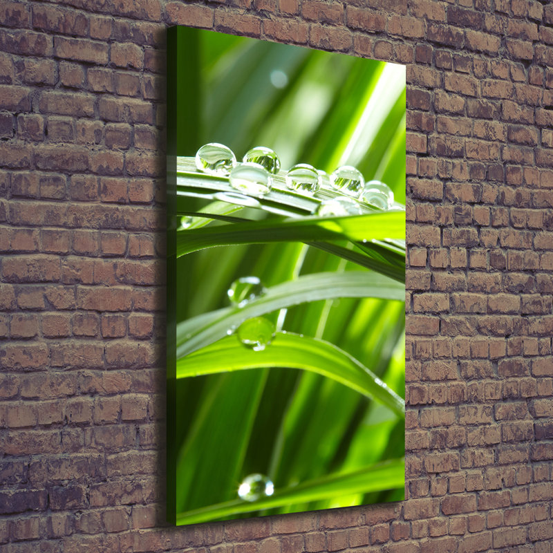 Blades of Grass - Wrapped Canvas