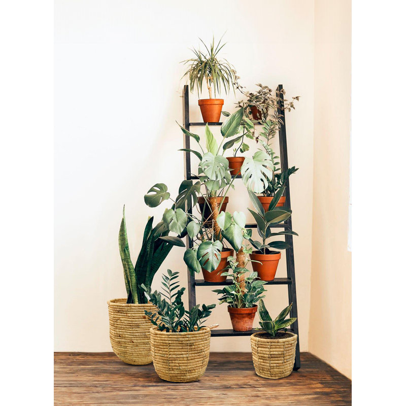 Shanlee Pot Planter