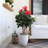 Traylor 36'' Faux Flowering Tree in Pot