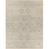 Biscayne Wool Oriental Area Rug in Tan