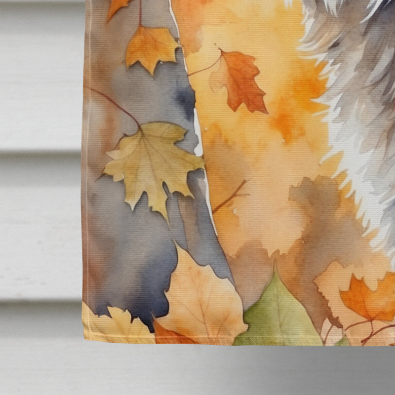 Chat en feuilles d'automne, Highlander Lynx