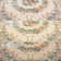 Washable Area Rug Apricot Butterfly Soft Accent Carpet Vintage Inspired Distressed Low Pile for Living Room Dining Room Bedroom Den