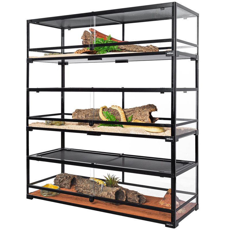 Reptile Starter Kit