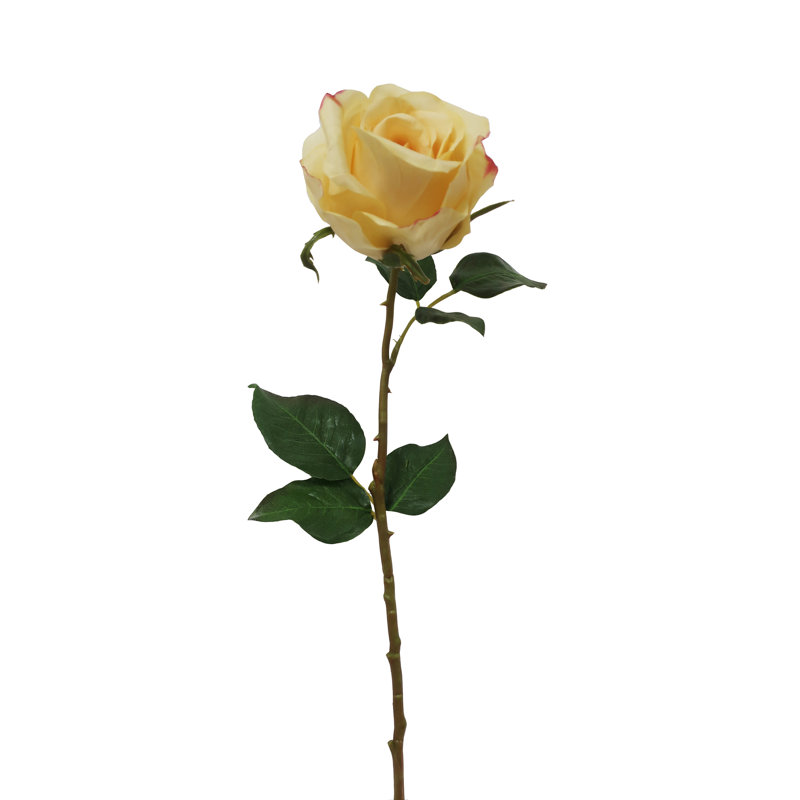ROSE BUDSTEM