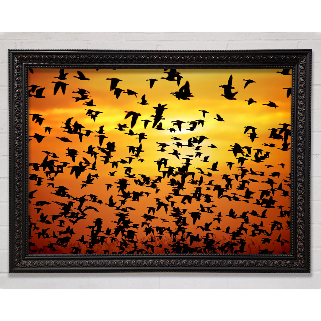 Flight Of The Silveren Birds - Einzelner Bilderrahmen Kunstdrucke