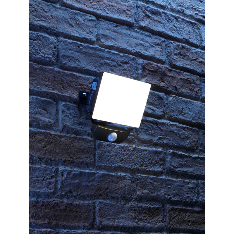 Richvale LED Flood Light with Pir