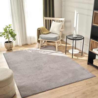 Despinossa Solid Colour Plain Weave 120cm X 170cm Area Rug