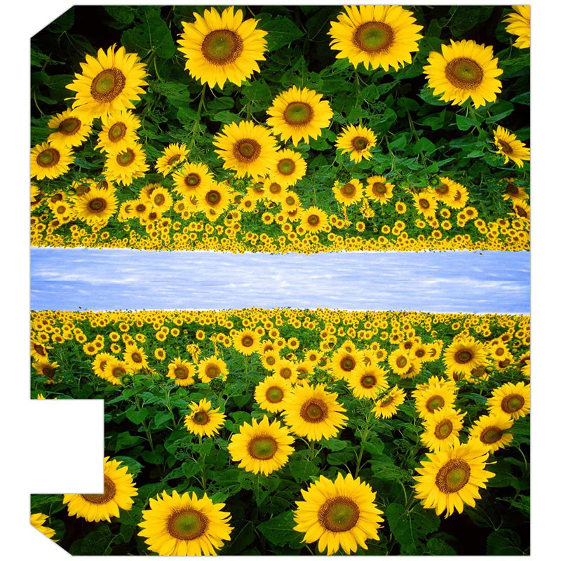 Couvercle de boîte aux lettres Sunflower Home, H 5 po x l 20 po