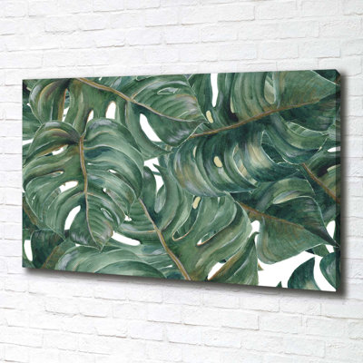 Monstera - No Frame Print on Canvas