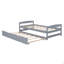 Lit plateforme simple avec lit gigogne simple-1322035581