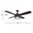 Renderos 48'' Ceiling Fan with Light Kit