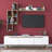 TV Unit