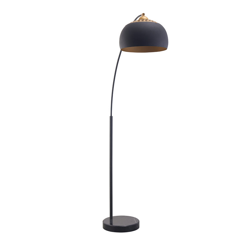 Dedre 68.5'' Arched Floor Lamp, Black, Black