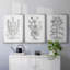 Toile encadrée de qualité supérieure B&W-69983125-69983128