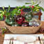 Glass Sphere Bud Vase-768581689
