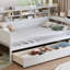 Lit de jour en bois avec tablettes de rangement, lit multifonctionnel avec deux tiroirs de rangement et bureau d'étude (lit de jour)-1281976909-1281976908