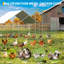 Chicken Coop-660104137