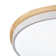 LED Flush Mount