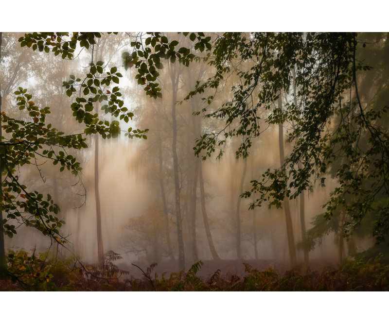 Wrapped Canvas Print, 81.28 cm H x 121.92 cm W