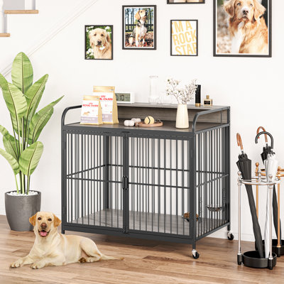 Table d'appoint pour chien, cage pour chien