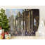 Probst Wrapped Canvas Print Set-766569315